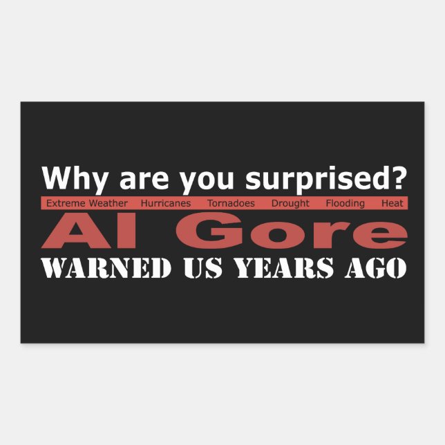 Pegatina Rectangular Al Gore nos advirtió (Anverso)