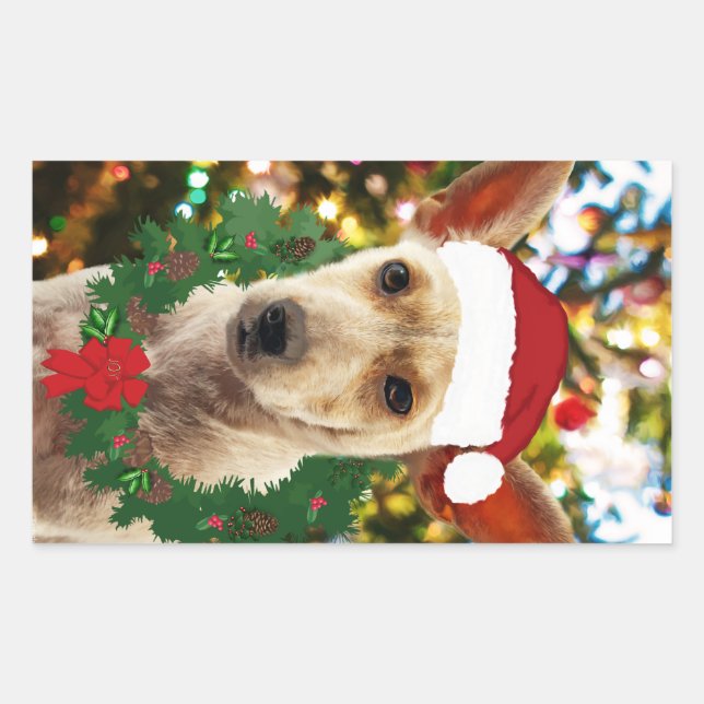 Pegatina Rectangular Alegría por el cachorro (Anverso)