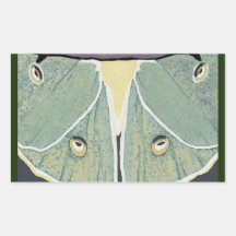 Almohada de acento de pintura digital Luna Moth
