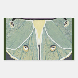 Pegatina Rectangular Almohada de acento de pintura digital Luna Moth