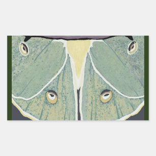 Pegatina Rectangular Almohada de acento de pintura digital Luna Moth