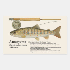 Pegatina Rectangular Amago (Oncorhynchus masou ishikawae)