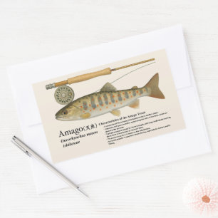 Pegatina Rectangular Amago (Oncorhynchus masou ishikawae)