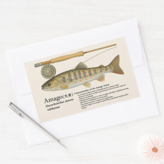 Pegatina Rectangular Amago (Oncorhynchus masou ishikawae)