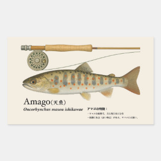Pegatina Rectangular Amago (Oncorhynchus masou ishikawae) – Fish Illust