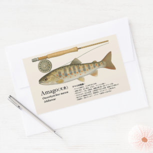 Pegatina Rectangular Amago (Oncorhynchus masou ishikawae) – Japonés