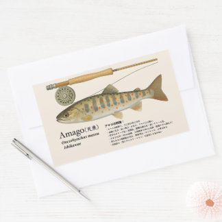Pegatina Rectangular Amago (Oncorhynchus masou ishikawae) – Japonés