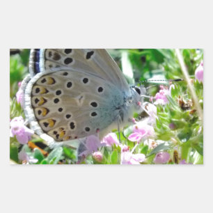 Pegatina Rectangular Amarillo azul con mariposa de puntos negros en las
