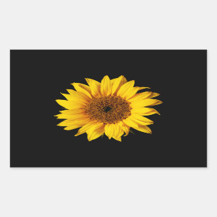 Pegatina Rectangular Amarillo del girasol en el negro - flores