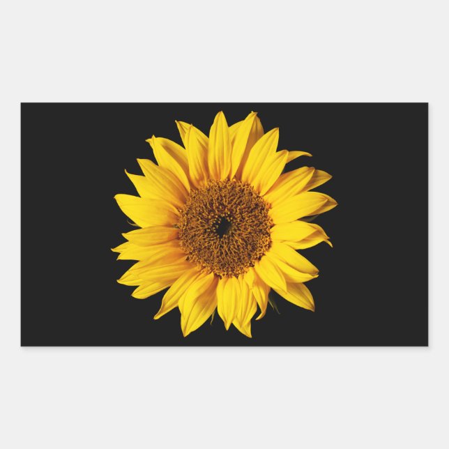Pegatina Rectangular Amarillo girasol en negro - Flores solares persona (Anverso)