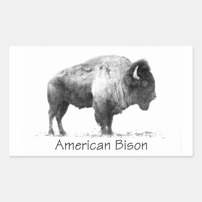 Pegatina Rectangular American Bison (Anverso)