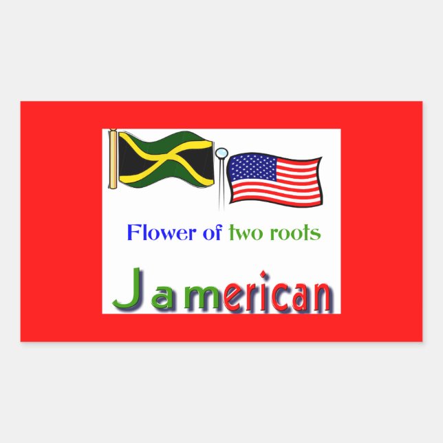 Pegatina Rectangular americano (Anverso)