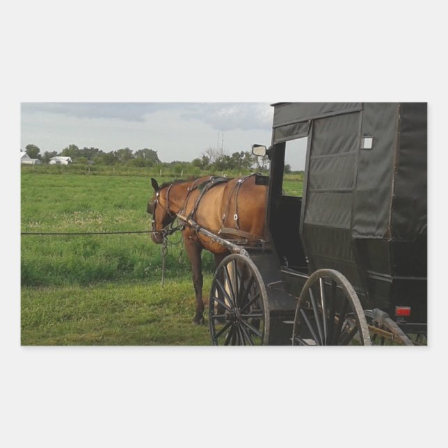 Pegatina Rectangular Amish Horse and Buggy at Sunset (Anverso)