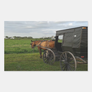 Pegatina Rectangular Amish Horse and Buggy at Sunset