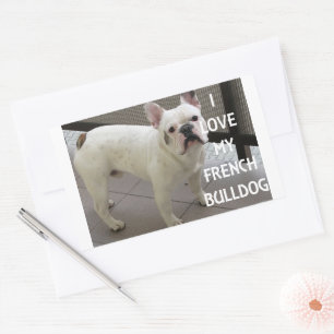 Pegatina Rectangular Amo a mi Bulldog Francés
