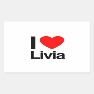 Pegatina Rectangular amo livia
