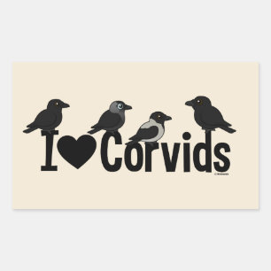 Pegatina Rectangular Amo Los Córvidos