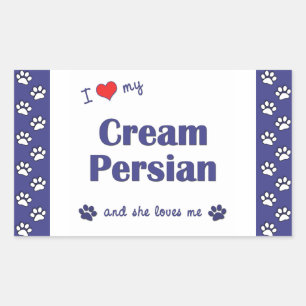 Pegatina Rectangular Amo Mi Crema Persa (Gato Femenino)
