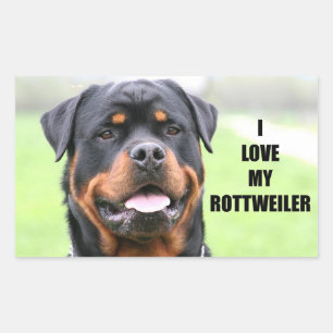 Pegatina Rectangular Amo Mi Rottweiler