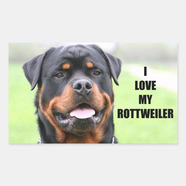 Pegatina Rectangular Amo Mi Rottweiler (Anverso)
