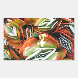 Pegatina Rectangular Amor_