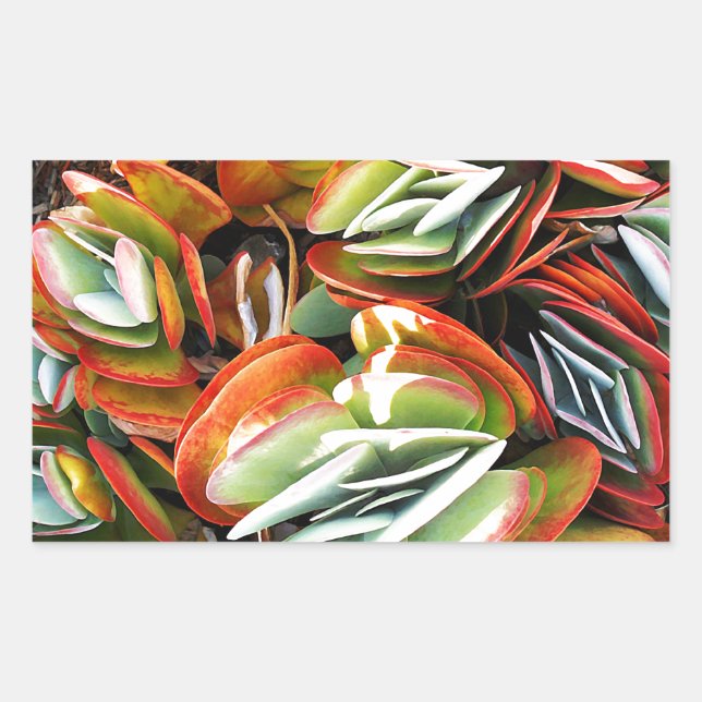 Pegatina Rectangular Amor_ (Anverso)