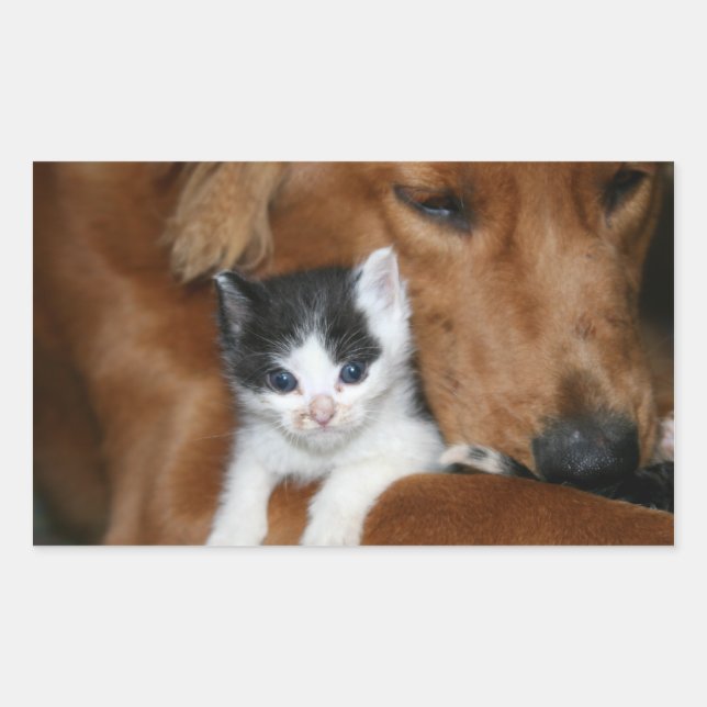 Pegatina Rectangular Amor de los cachorros (Anverso)