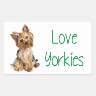 Pegatinas Cuadrado de 2 X 10 Cm-Yorkshire Terrier Perro Pequeño Puppy #46520 