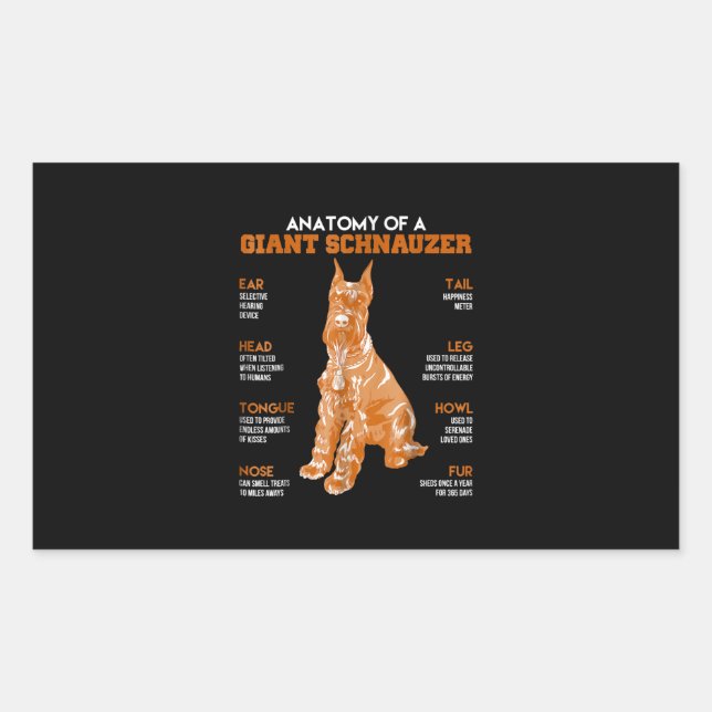 Pegatina Rectangular Anatomía De Un Regalo Gracioso De Schnauzer Dogs (Anverso)