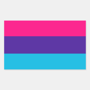 Pegatina Rectangular Androgyne Pride