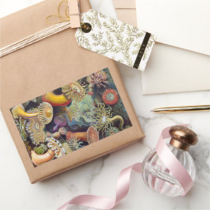 Pegatina Rectangular Anémonas de mar, Actiniae vintage de Ernst Haeckel