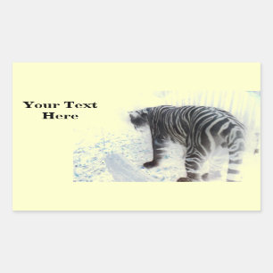 Pegatina Rectangular Animal salvaje del tigre blanco