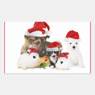 Pegatina Rectangular Animales