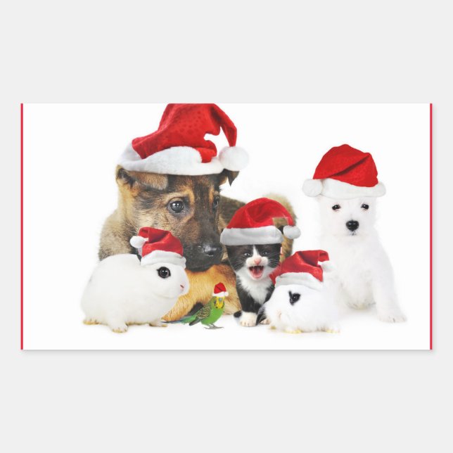 Pegatina Rectangular Animales (Anverso)