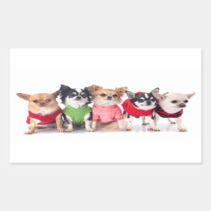Pegatina Rectangular Animales cortos