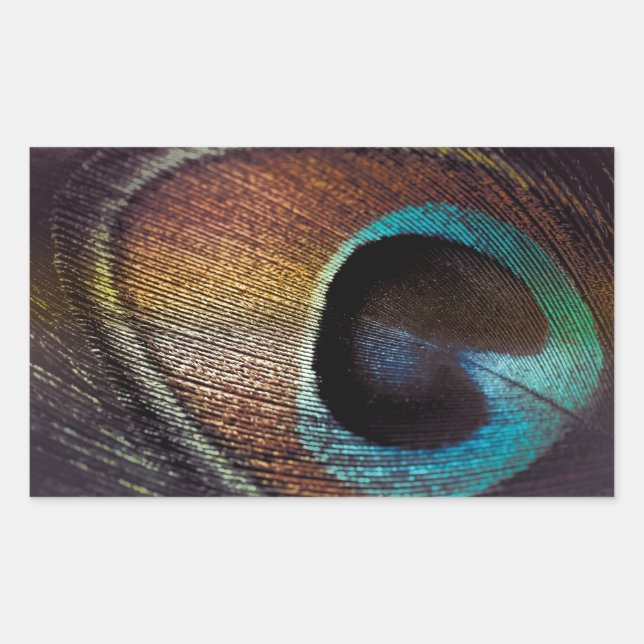 Pegatina Rectangular Antiguo Hues Peacock Feather Eye (Anverso)