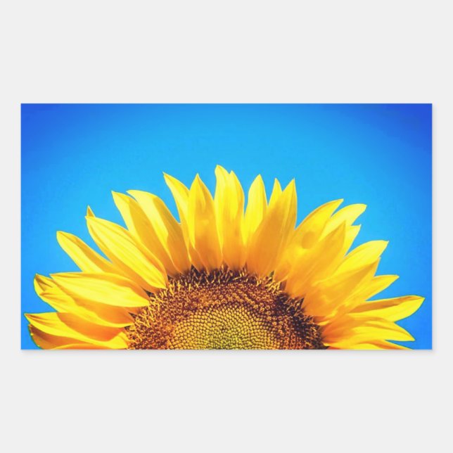 Pegatina Rectangular Apoyar el girasol amarillo cielo azul de Ucrania (Anverso)