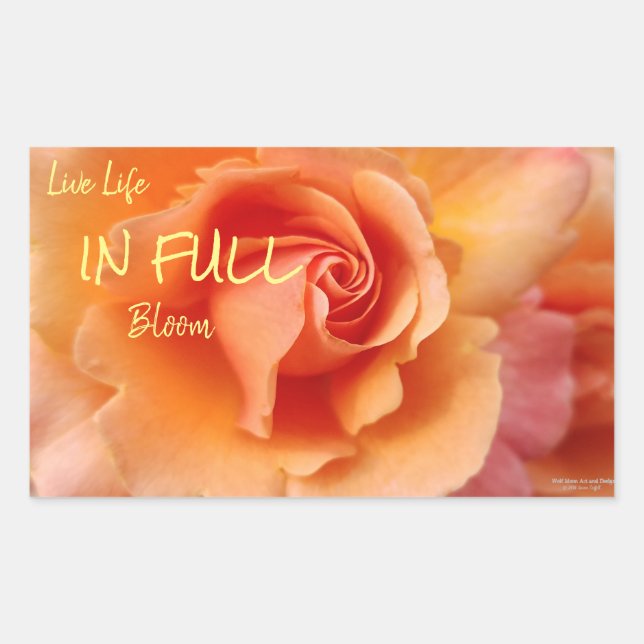 Pegatina Rectangular Apricot Rosa Flower Close Photo (Anverso)