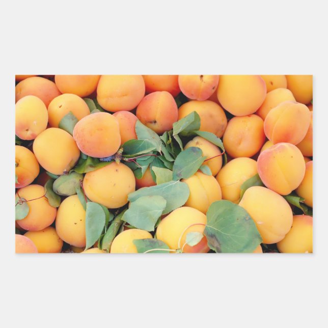 Pegatina Rectangular Apricots (Anverso)