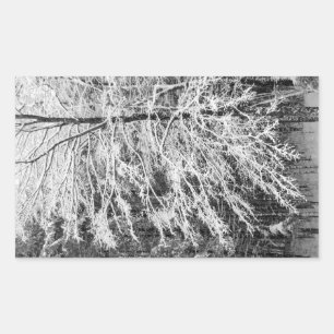 Pegatina Rectangular Árbol de arce esbozado en nieve