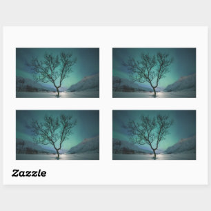 Pegatina Rectangular Árbol de luces boreales