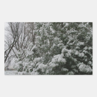 Pegatina Rectangular Árbol de pino invernal con caída de nieve