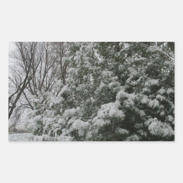 Pegatina Rectangular Árbol de pino invernal con caída de nieve (Anverso)