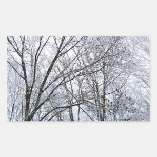 Pegatina Rectangular Árbol de roble cubierto de nieve