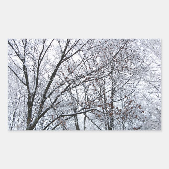Pegatina Rectangular Árbol de roble recubierto de nieve (Anverso)