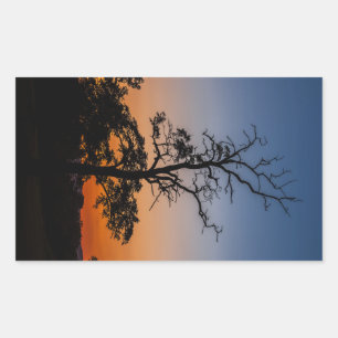 Pegatina Rectangular Árbol en un fondo de puesta de sol