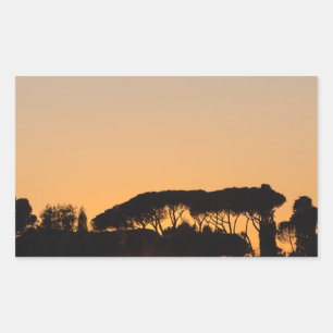 Pegatina Rectangular Árboles al atardecer a la luz de fondo en Roma