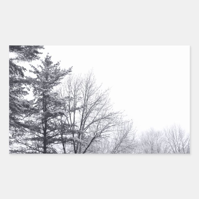 Pegatina Rectangular Árboles recubiertos de nieve: horizontal (Anverso)