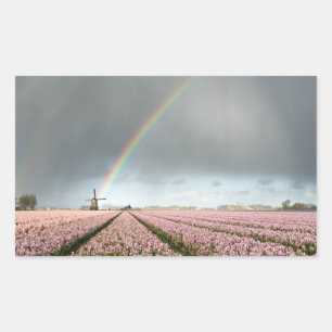 Pegatina Rectangular Arcoiris sobre jacintos y molino de viento en Hola