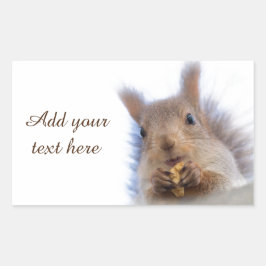 Pegatina Rectangular Ardilla con nogal